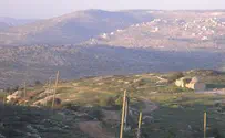 גריף הוכיח: החוק הבינלאומי נגד חלוקת הארץ