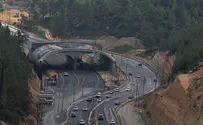 ממחר: הנסיעה בכביש 1 - מתחת לגשר האקולוגי