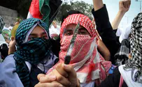 Knife-wielding Arab youth wanted to become 'martyr'