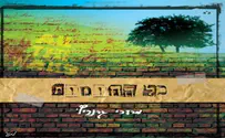 מעל לחומות-ביקורת דיסק