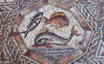 Beautiful ancient mosaic found in Lod