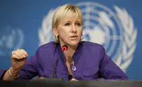 Reuters Swedish Foreign Minister: Israel is 'executing' Palestinians