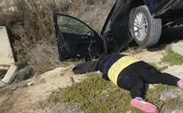 Stabbing attack foiled as terrorist run over by civilian
