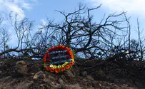 Five years on, revisiting the Carmel Fire; what have we learned?
