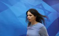 Justice Minister and Meretz MK nearly come to blows