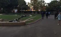 תינוק טבע בבריכה בגן ציבורי - ונפטר