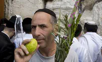 בכותל המערבי נערכים לסוכות