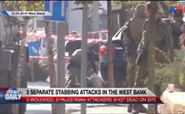 Watch: Summary and aftermaths of terror attacks