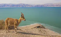 נחל יזרח, טיול של חורף