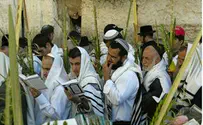 נשלמות ההכנות לסוכות בכותל המערבי