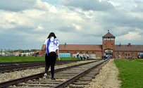 Auschwitz saw record visitors in 2015 anniversary year