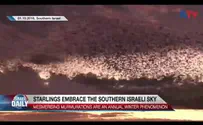 Watch: Starlings embrace the southern Israeli sky