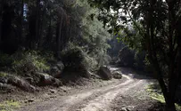 Woman's body found in forest in north