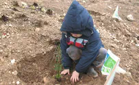 מחזירים אהבה לטבע בט"ו בשבט