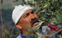 'When our lands were taken we didn't go to the barricades'