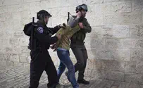 Police arrest second radical leftist activist