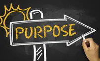 Want to find your purpose in life? Stop looking for it