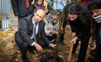 'Answering terror by planting and building'