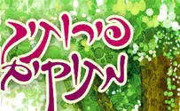 מחר: פירותיך מתוקים 2
