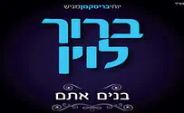 שירת הלוין - ביקורת דיסק