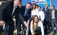 אסון הכרמל: ההר הירוק סירב להישאר שחור