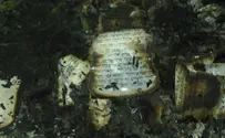 "זעם בלב כל יהודי"  
