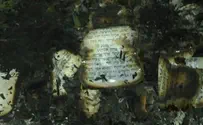 'An attack on the Torah is an attack on the soul of our people'