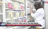 ILTV Watch: Have Israeli researchers found a cure for the Zika virus?