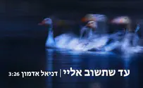 דניאל אדמון בסינגל חדש "עד שתשוב אליי"