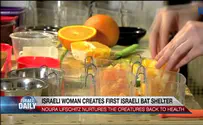 ILTV Watch: Israeli woman creates a sanctuary for bats
