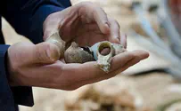 Ancient winery and Roman bathhouse found in Jerusalem