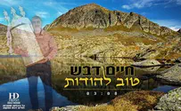 חיים דבש בסינגל חדש: "טוב להודות"