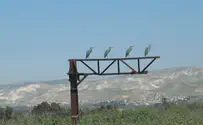 תחרות הצפרים הטובים בעולם
