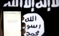 Americans dropping 'cyber bombs' on ISIS