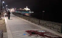 «Мученик убивал в Яффо сионистов и поселенцев»