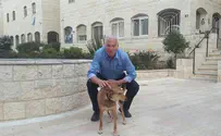 אריאל מקדם: שירות לאומי בארגוני בעלי חיים