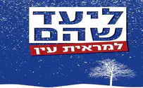 תעלומה בהתנחלות – ביקורת ספר