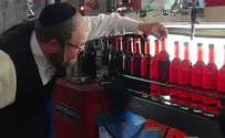 הרבי שלח את החסידים לייצר יין בחברון