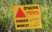 Lightning hits a mine field, starts a fire