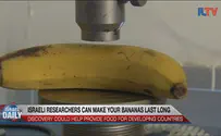 ILTV Israeli researchers can make your bananas last long
