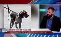 ILTV Israeli company connects you to your dog walker