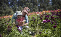 Forecast: Pleasant skies - for now