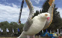 מיצג הבלונים הגדול ביותר שנראה בארץ