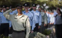 31 killed in terror attacks this year - 29 since September
