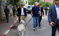 צפו: נתניהו מטייל עם הכלבה בירושלים