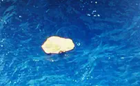Watch: First pictures of debris from downed EgyptAir flight
