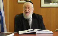 האדם - יצירה משותפת  