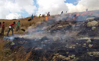 Watch: Arab 'arson terror' strikes Samaria