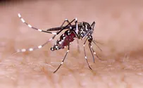 West Nile virus descends upon Israel