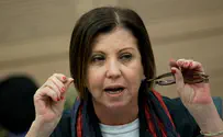 Meretz head attacks Netanyahu for praising coexistence